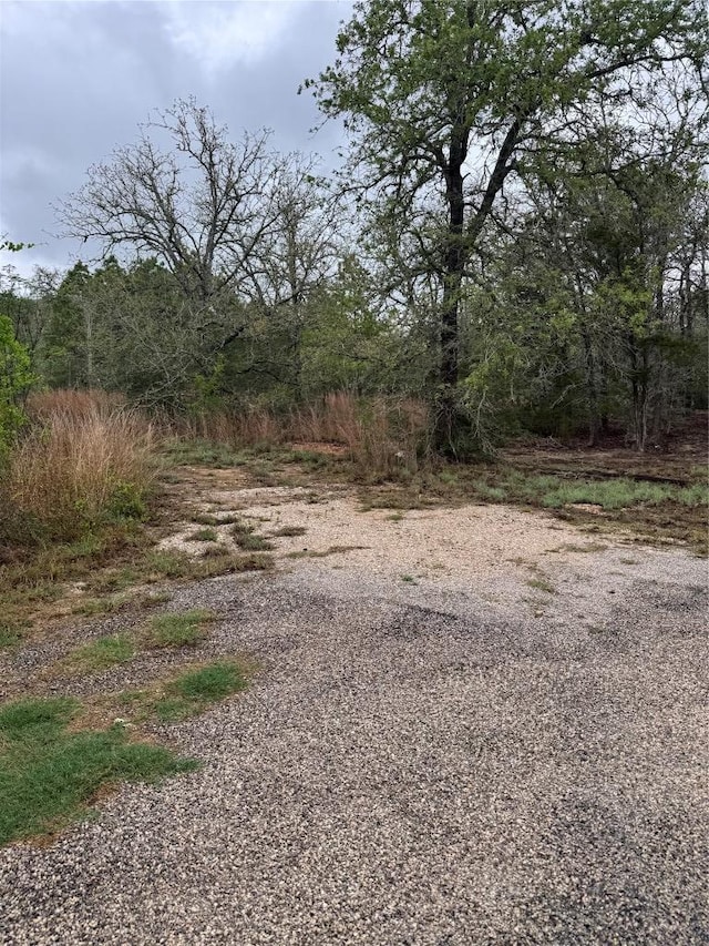 118 Laguna, Smithville, TX 78957