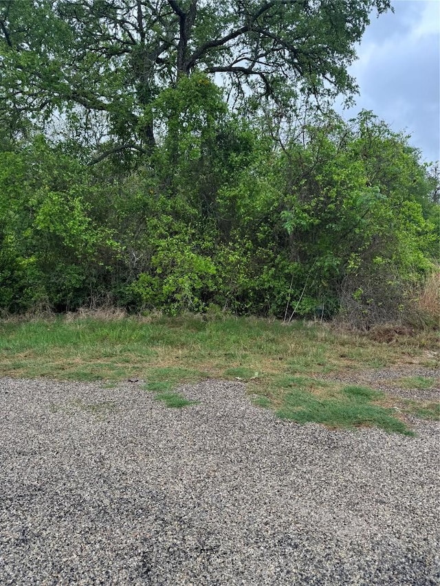 118 Laguna, Smithville, TX 78957