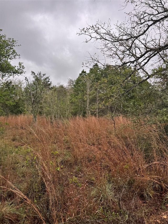 118 Laguna, Smithville, TX 78957