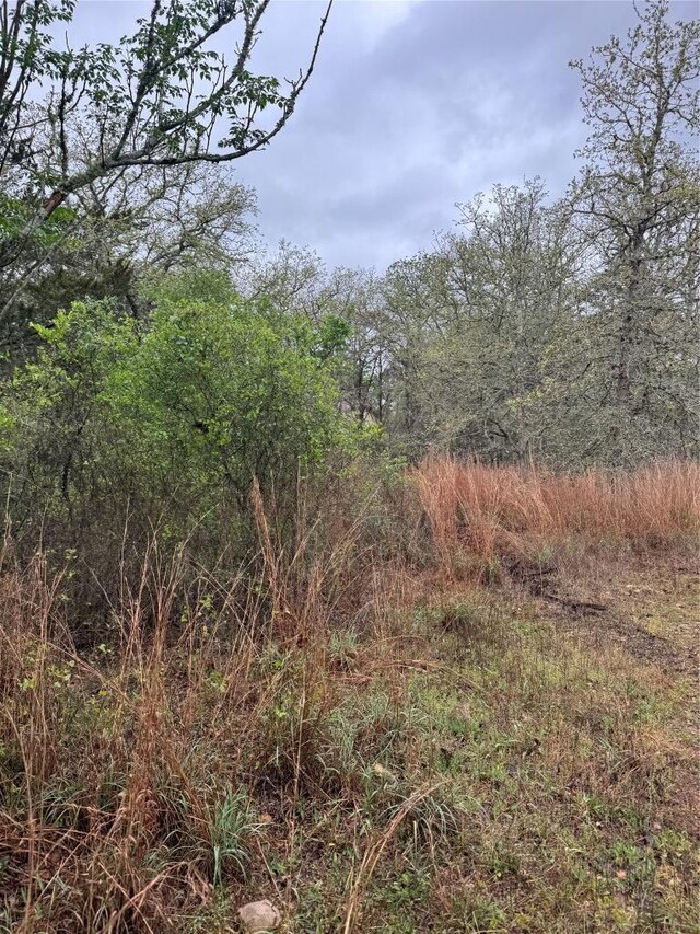 118 Laguna, Smithville, TX 78957