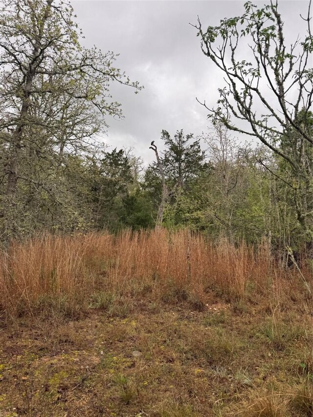 118 Laguna, Smithville, TX 78957