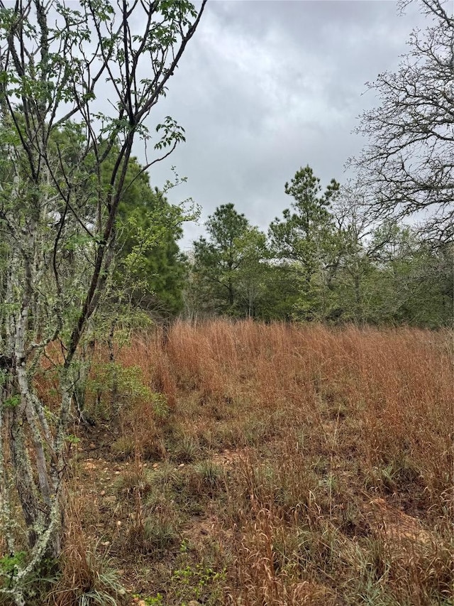118 Laguna, Smithville, TX 78957