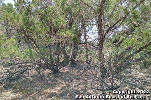 1590 Rose Ln, Canyon Lake, TX 78133 - photo 2