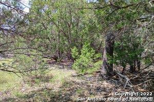 1590 Rose Ln, Canyon Lake, TX 78133 - photo 3