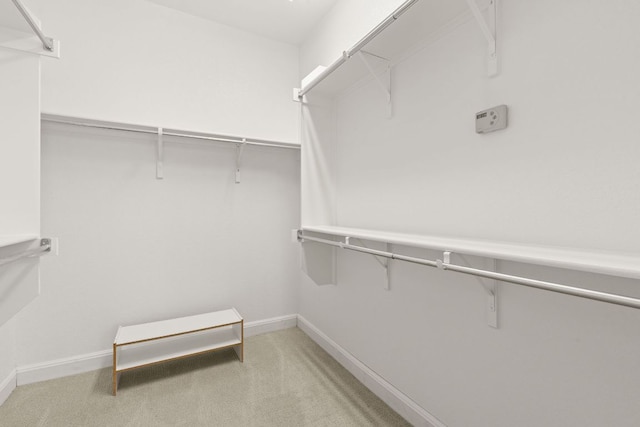 210 Crockett Loop, Georgetown, TX 78633 - spacious closet with carpet