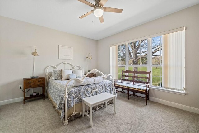 210 Crockett Loop, Georgetown, TX 78633 - photo 17