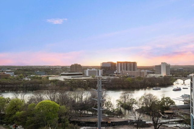 603 Davis St Unit 1101, Austin, TX 78701 - photo 20
