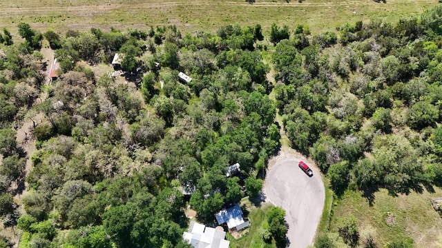 379 Forest Lake Dr, Del Valle, TX 78617 - photo 3
