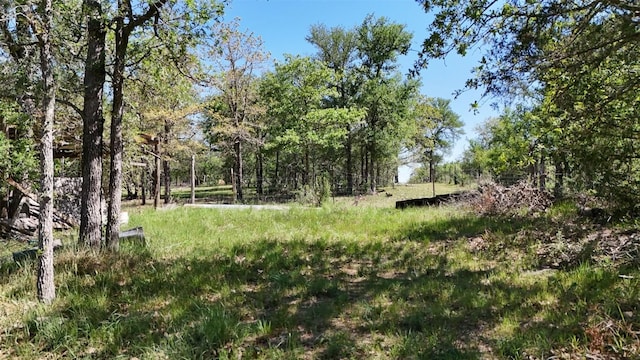379 Forest Lake Dr, Del Valle, TX 78617 - photo 5
