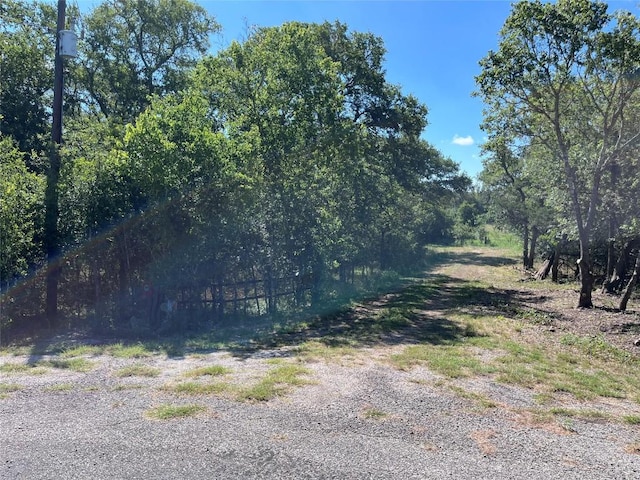 379 Forest Lake Dr, Del Valle, TX 78617 - photo 1