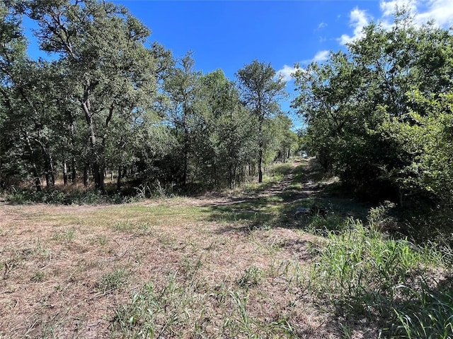 379 Forest Lake Dr, Del Valle, TX 78617 - photo 6