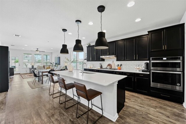 200 Isabella Way, Liberty Hill, TX 78642 - kitchen with a sink, dark cabinets, recessed lighting, appliances with stainless steel finishes, and wood finished floors