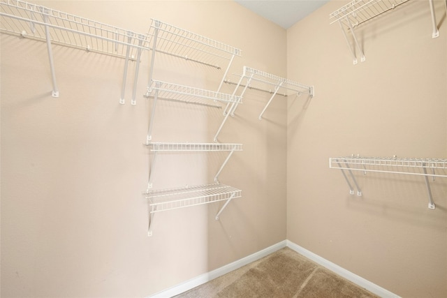1006 Mapleridge Cir, Leander, TX 78641 - spacious closet with carpet floors
