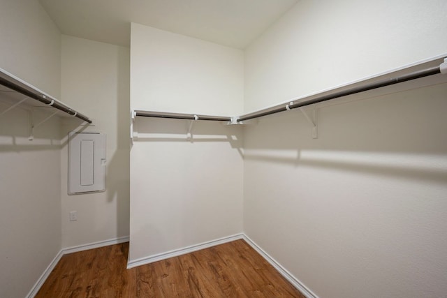 8005 Dampton Ln, Austin, TX 78744 - photo 19