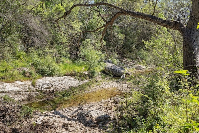 view of local wilderness with a view of trees