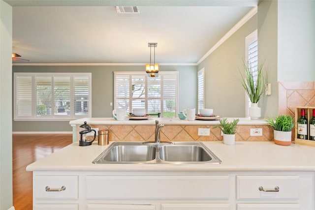 111 Belfalls Dr, Georgetown, TX 78633 - kitchen featuring a sink, plenty of natural light, white cabinets, and crown molding