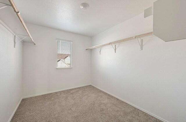191 Frogmore Loop, Kyle, TX 78640 - photo 20