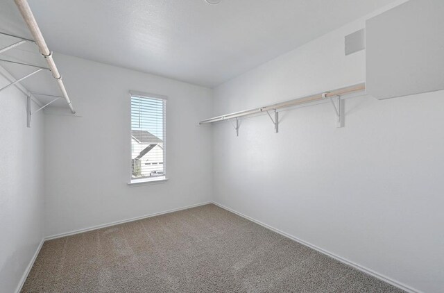 229 Frogmore Loop, Kyle, TX 78640 - photo 19