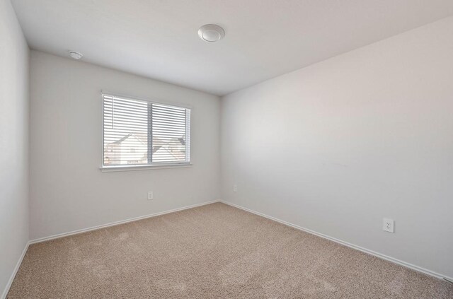 229 Frogmore Loop, Kyle, TX 78640 - photo 22