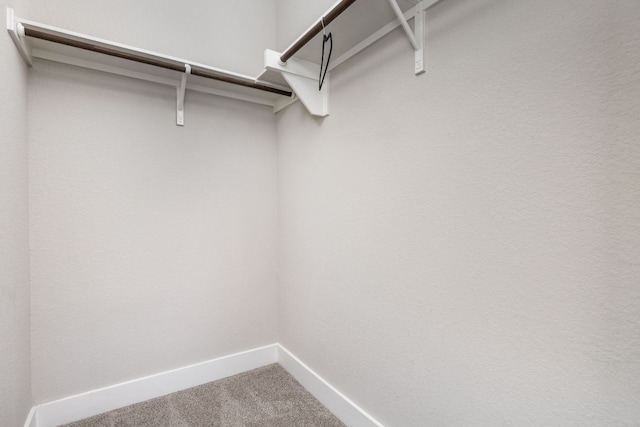 walk in closet with carpet floors