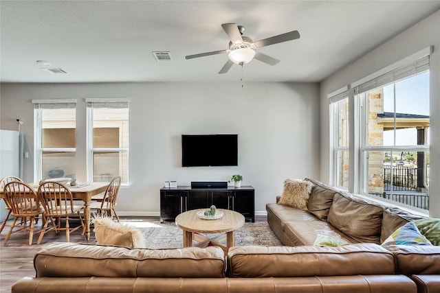 970 Lone Peak Way, Dripping Springs, TX 78620 - living area with wood finished floors, a ceiling fan, and baseboards