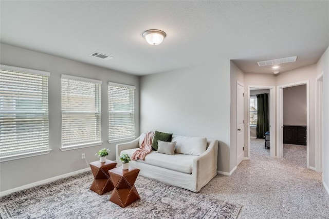 970 Lone Peak Way, Dripping Springs, TX 78620 - living area featuring carpet