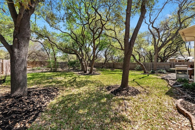 1406 Hunter Ace Way, Cedar Park, TX 78613 - view of yard