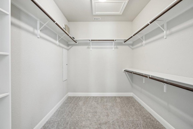 3501 Venezia Vw, Leander, TX 78641 - spacious closet with carpet floors and attic access