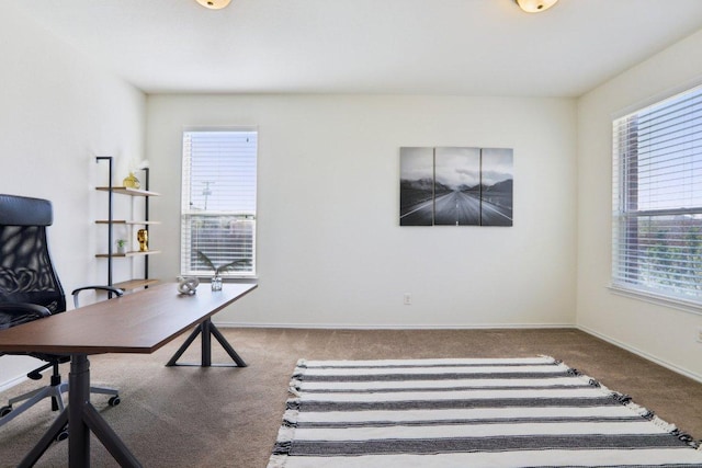 1318 Autumn Sage Way, Pflugerville, TX 78660 - carpeted office space featuring healthy amount of natural light and baseboards
