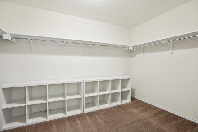 1318 Autumn Sage Way, Pflugerville, TX 78660 - spacious closet with carpet flooring