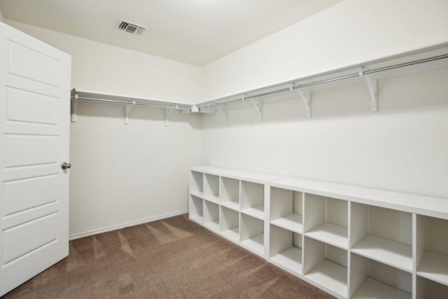 1318 Autumn Sage Way, Pflugerville, TX 78660 - walk in closet with carpet