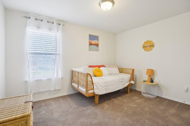 1318 Autumn Sage Way, Pflugerville, TX 78660 - view of carpeted bedroom