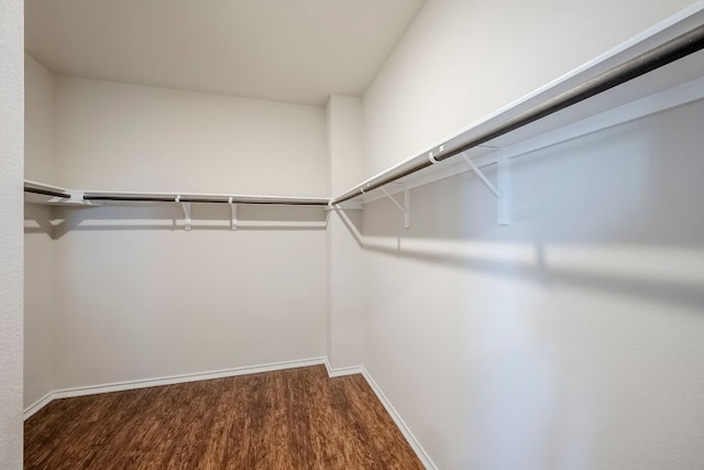 8017 Turnberry Ln, Austin, TX 78744 - walk in closet featuring wood finished floors