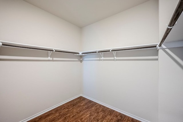 8017 Turnberry Ln, Austin, TX 78744 - spacious closet with dark wood-style flooring