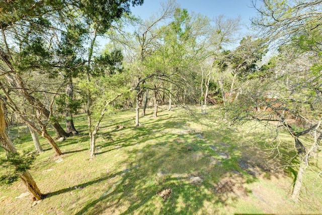 30809 Berry Creek Dr, Georgetown, TX 78628 - photo 30