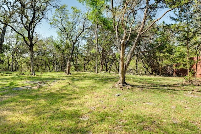 30809 Berry Creek Dr, Georgetown, TX 78628 - photo 40