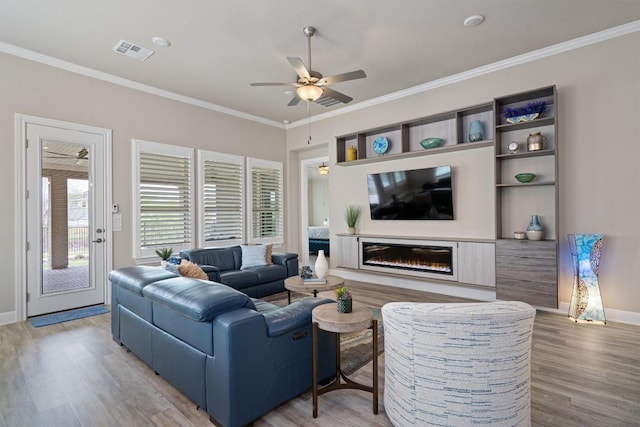 5352 Cornetto Blfs, Round Rock, TX 78665 - living room featuring ceiling fan, light wood finished floors, ornamental molding, a glass covered fireplace, and baseboards