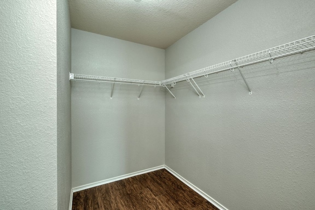 1225 Cardigan St, Cedar Park, TX 78613 - walk in closet featuring dark wood-style flooring