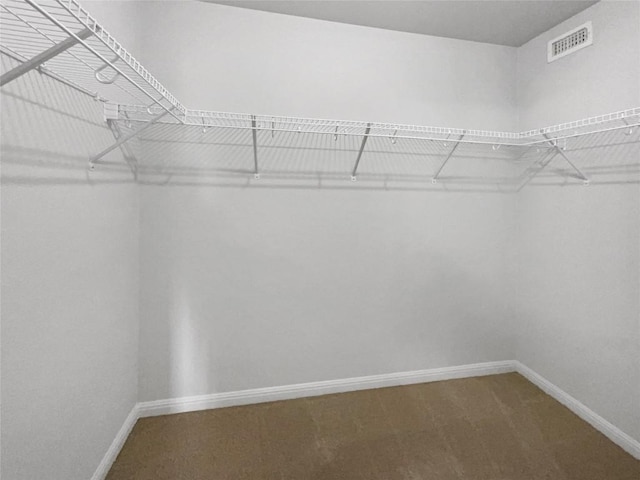 1705 Arbor Knot Dr, Kyle, TX 78640 - spacious closet featuring carpet floors