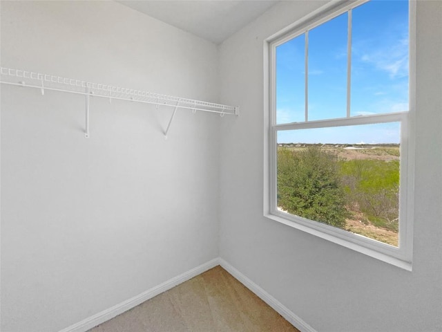 1705 Arbor Knot Dr, Kyle, TX 78640 - photo 21