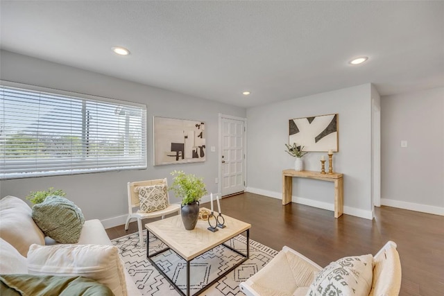 3510 Oak Springs Dr, Austin, TX 78721 - living room featuring recessed lighting and wood finished floors