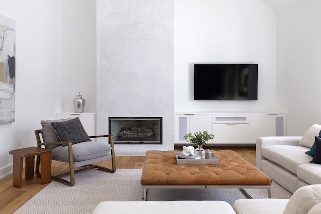 living room featuring wood finished floors and a fireplace