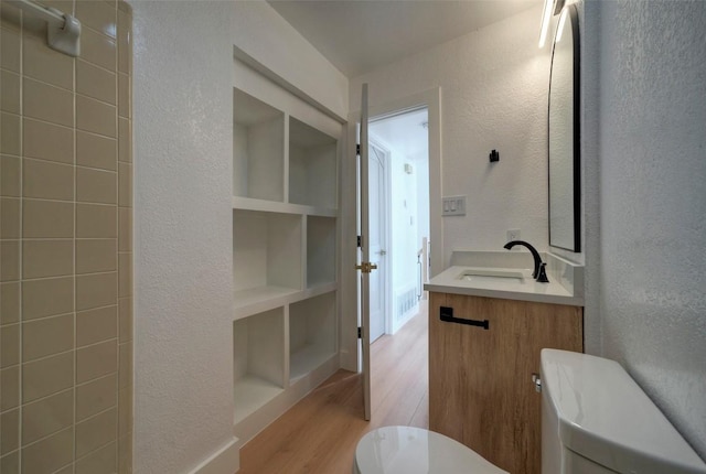 1701 Indian Camp Trl, Round Rock, TX 78681 - bathroom with wood finished floors, a textured wall, and vanity