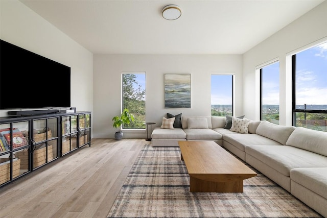 204 Ringtail Stream Dr, Lakeway, TX 78738 - living room featuring wood finished floors