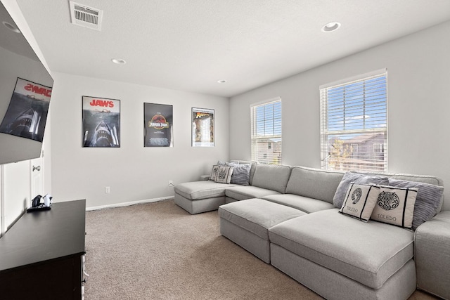 217 Timber Brook Dr, Hutto, TX 78634 - living room with carpet floors and recessed lighting