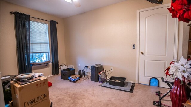 14811 Bescott Dr, Austin, TX 78728 - miscellaneous room with carpet, ceiling fan, and baseboards