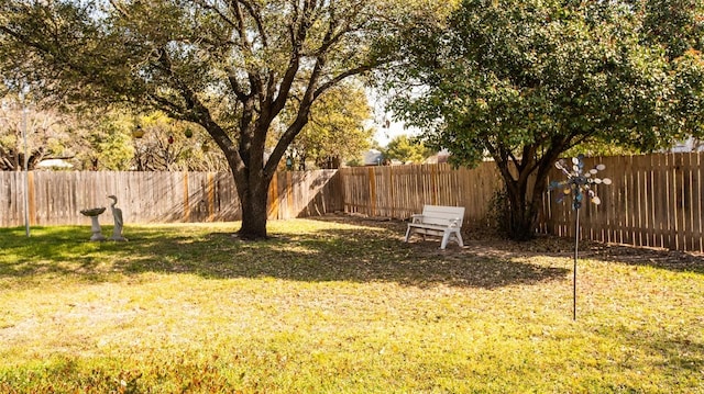 14811 Bescott Dr, Austin, TX 78728 - view of yard