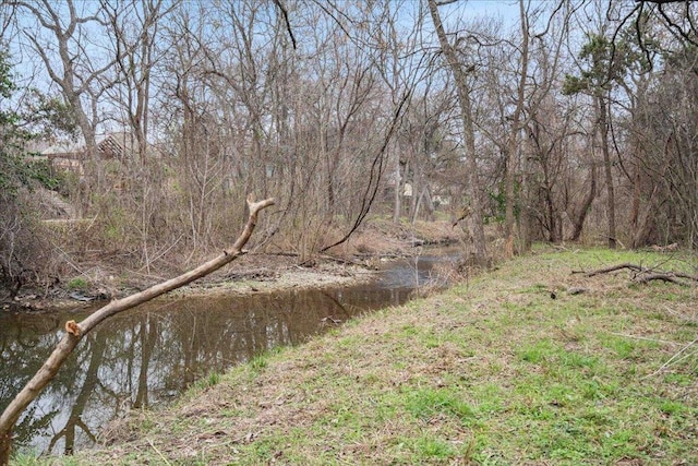 5014 Little Valley Rd, Leander, TX 78641 - view of nature