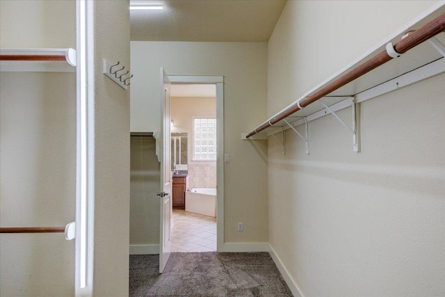 10242 Brangus Rd, Driftwood, TX 78619 - walk in closet with light colored carpet