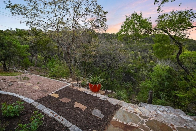 1607 Bay Hill Dr, Austin, TX 78746 - view of yard
